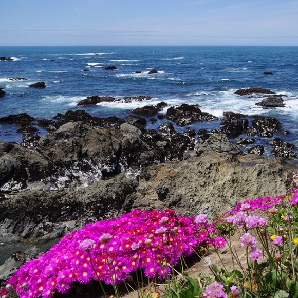 💋MEET YOUR SELLER/BUYER/DESIGNER 💋 - Picture 5 of 8